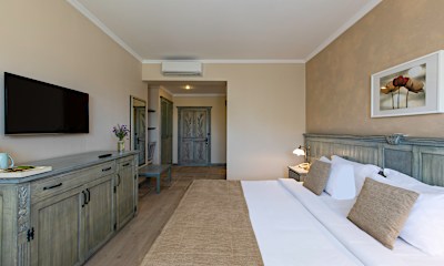 Deluxe without Balcony